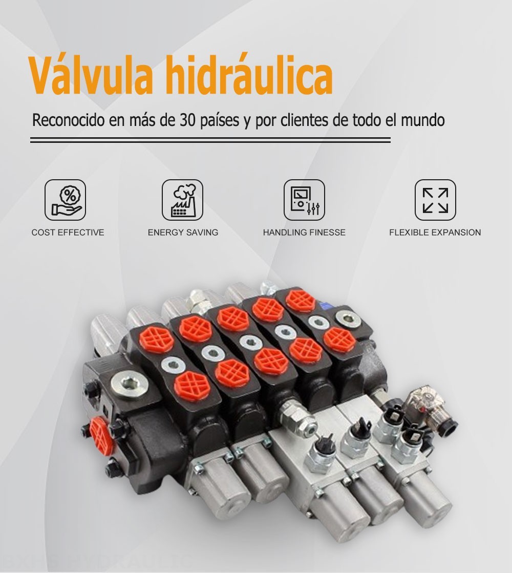 SD8 Manual 5 carretes Válvula direccional seccional